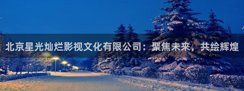 樱桃视频免费观看高清版：北京星光灿烂影视文化有限公司：聚焦未来，共绘辉煌