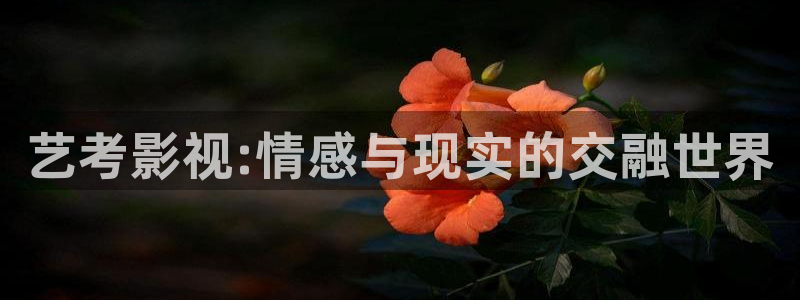 樱桃电影在线免费观看：艺考影视:情感与现实的交融世界