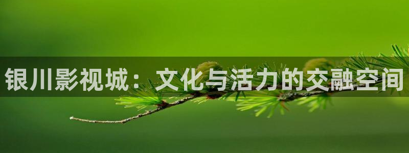 樱桃影院免费看电影：银川影视城：文化与活力的交融空间